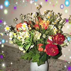 Meet your Posher, Trish